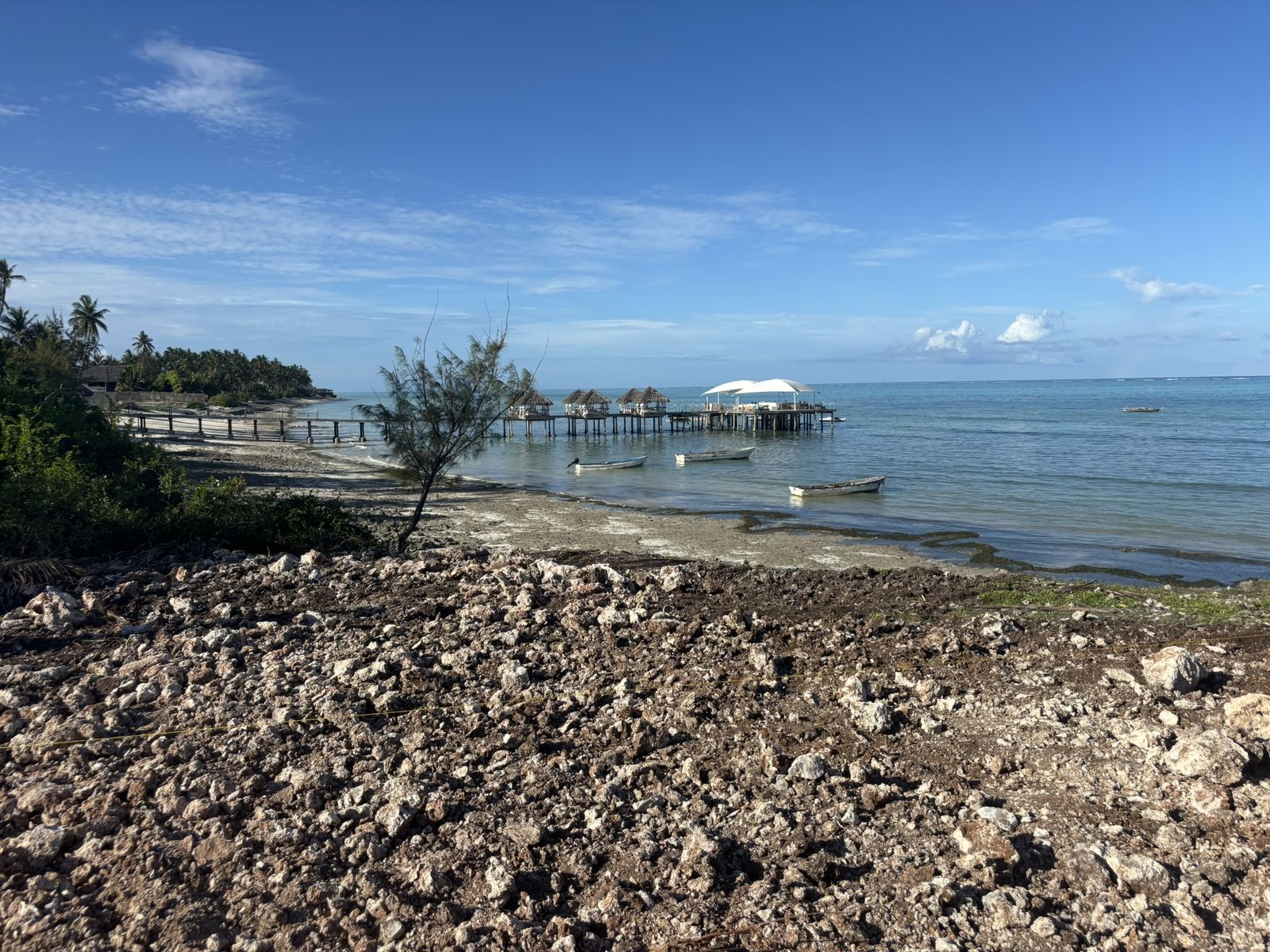 The cleared plot, bare coral rock above the beach, December 2024