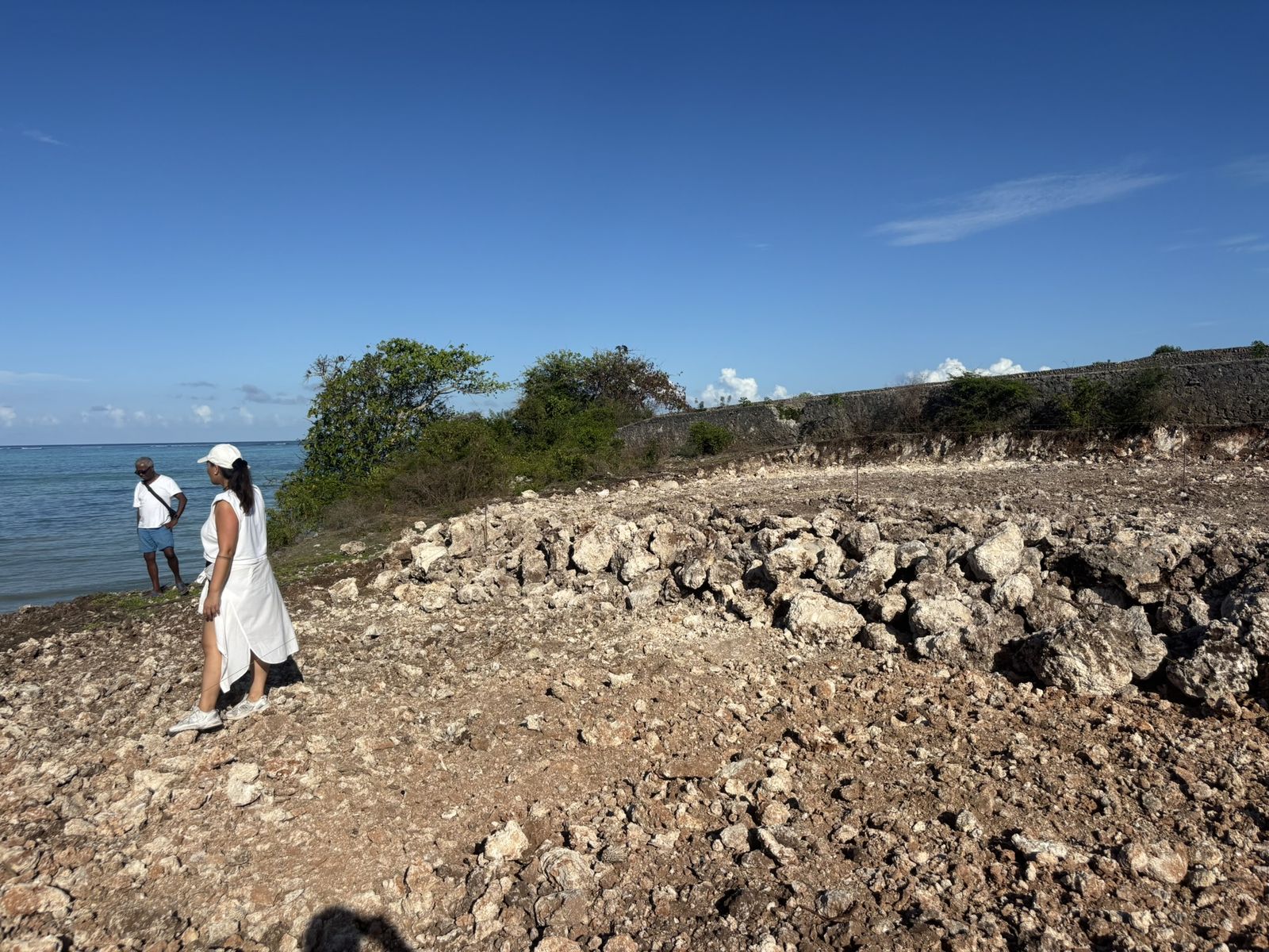 Laetitia on the cleared plot at the cliff edge, December 2024